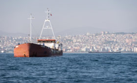 В Турции составили список товаров, запрещенных к экспорту в Россию