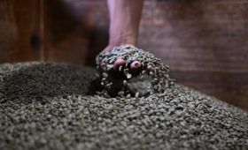 В ЕС тысячи тонн кофе оказались под угрозой уничтожения