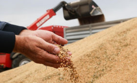 Глава Минсельхоза Чехии предложил запретить импорт зерна из России